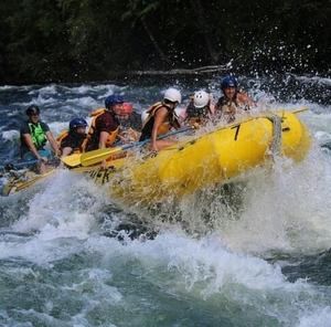 Meet your Posher, Tracie